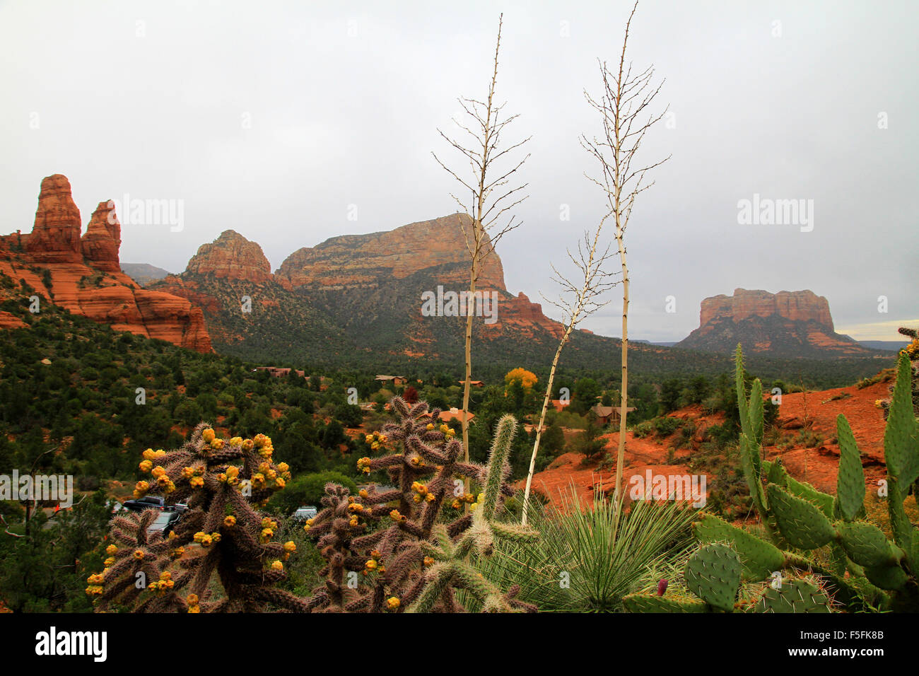 Schöne natürliche Sandstein Felsformationen in Sedona, Arizona mit einem blühenden Wüste Kaktus im Vordergrund Stockfoto