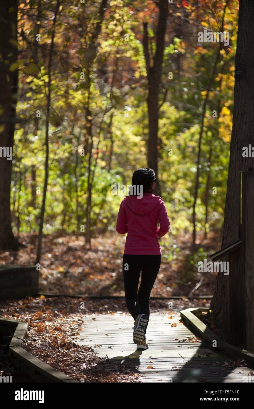 Single Frau mittleren Alters, die allein auf einen leuchtenden Herbsttag in den Wäldern im Lincoln Park, Lexington, MA Stockfoto