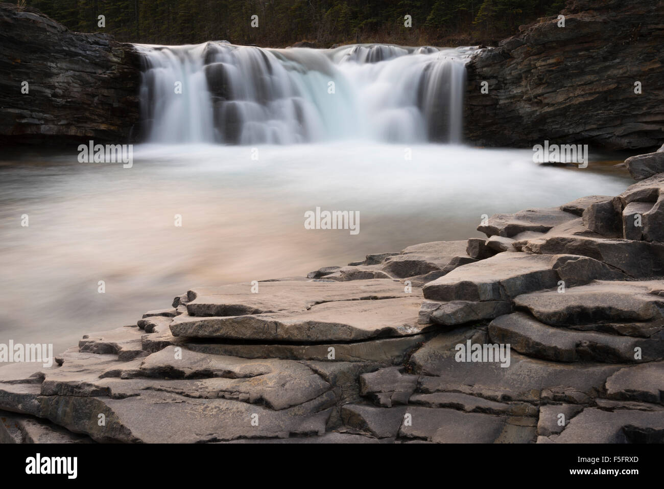 Sheep River Herbst Stockfoto