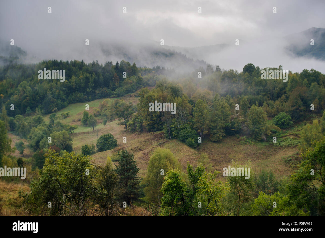 Berggipfel in Wolken von Nebel bedeckt an einem frühen Herbstmorgen. Stockfoto