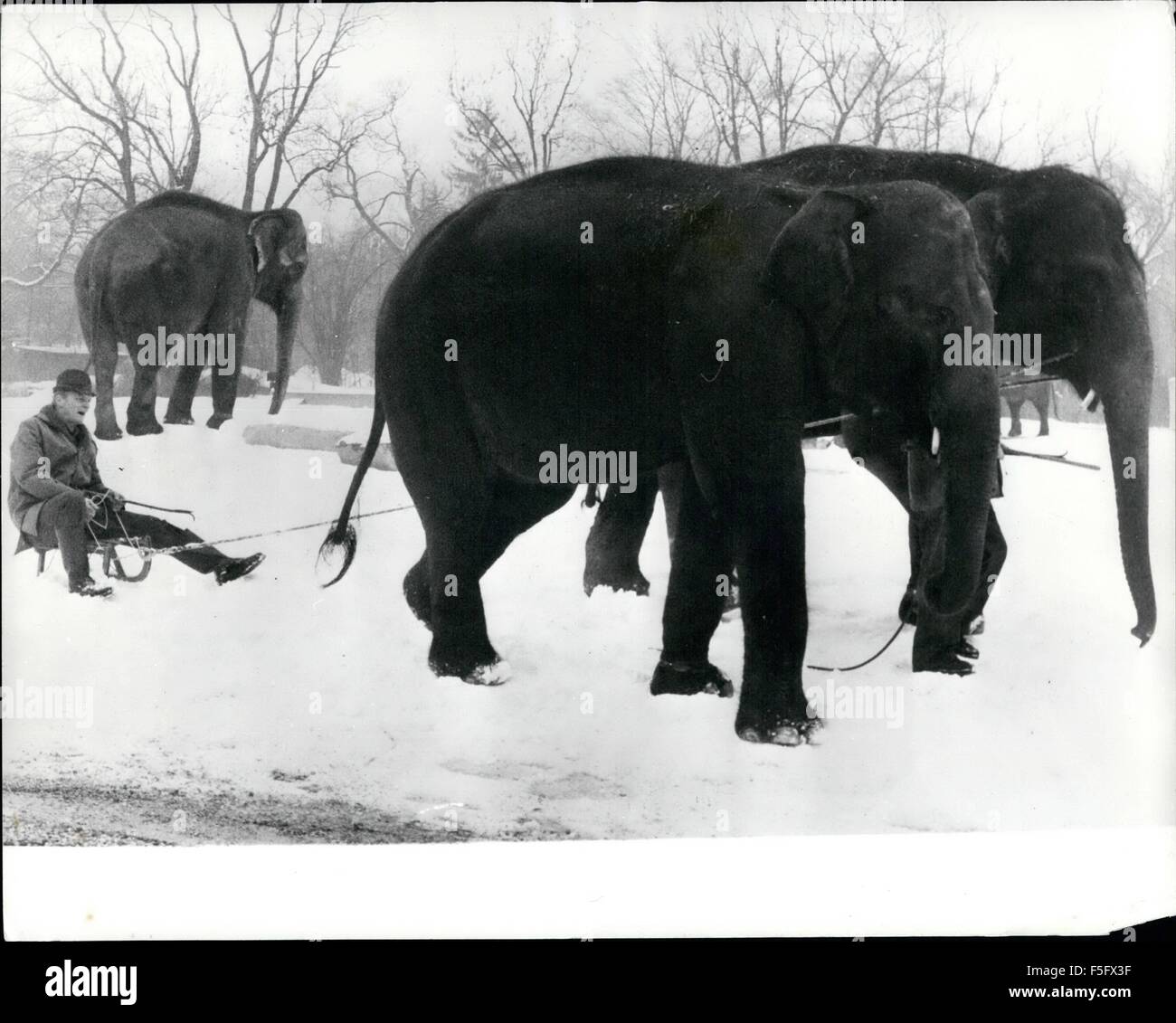 1972 - Hunde, Raindeers und Pferde-und jetzt Elefanten ist der letzte Schrei für Besucher zu den Zoo West München während der langen Wintertage von Elefanten sitzend auf einem Schlitten gezogen werden. Es hilft auch die Pfleger zu umgehen, während der starke Schneefälle, die häufig in diesem Teil von Deutschland. © Keystone Bilder USA/ZUMAPRESS.com/Alamy Live-Nachrichten Stockfoto