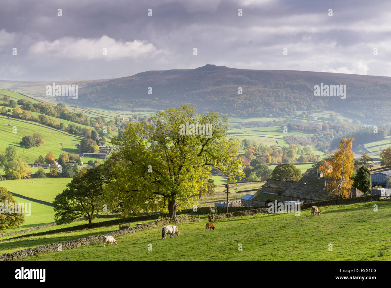 Appletree Dorf und Simons Sitz in Wharfedale, The Yorkshire Dales, England Stockfoto