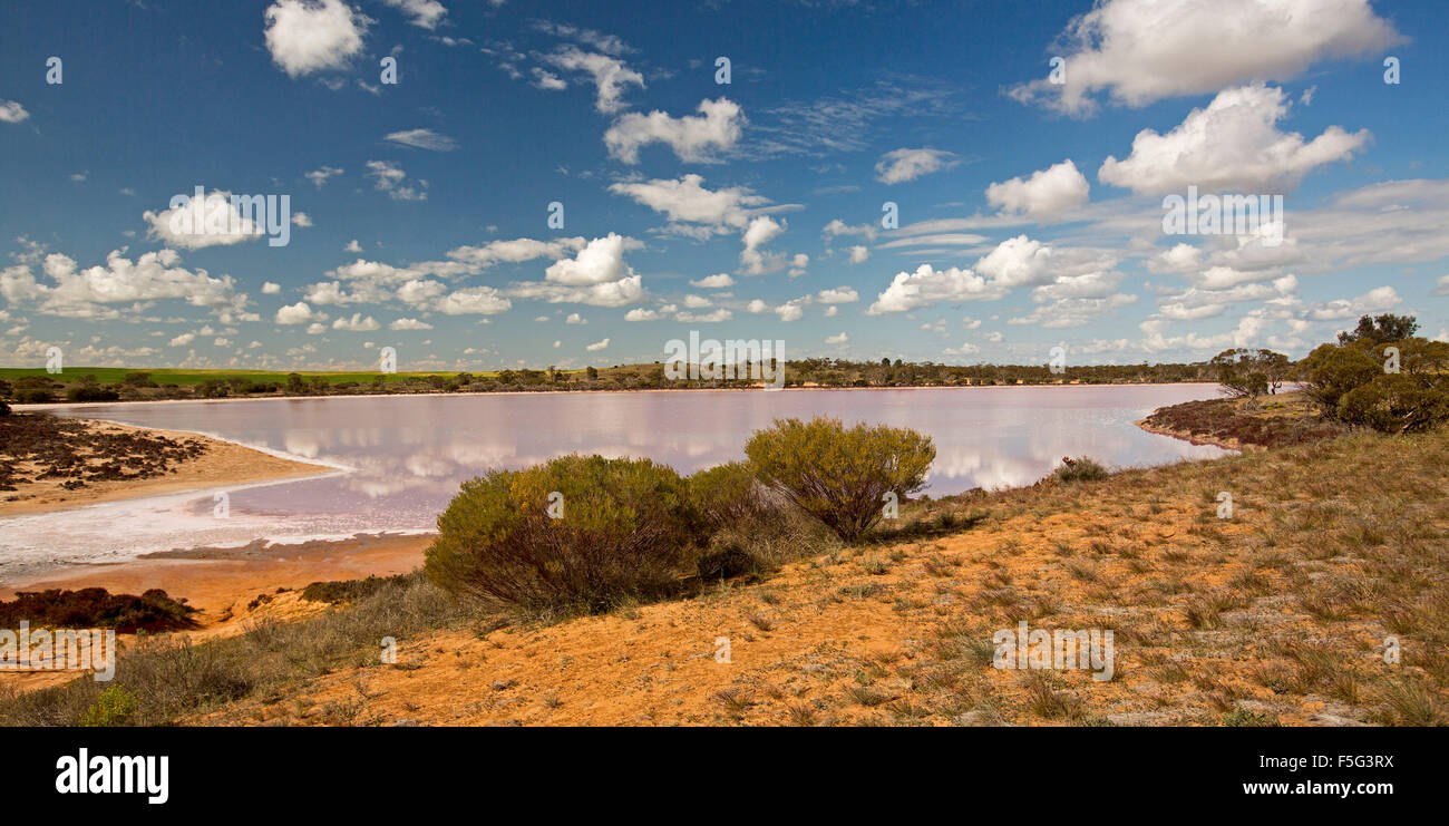 Panoramablick auf See Crozier mit ungewöhnlich lebhaft rosa Färbung des ruhigen Wassers unter blauem Himmel im Murray Sunset National Park im Outback Australien Stockfoto