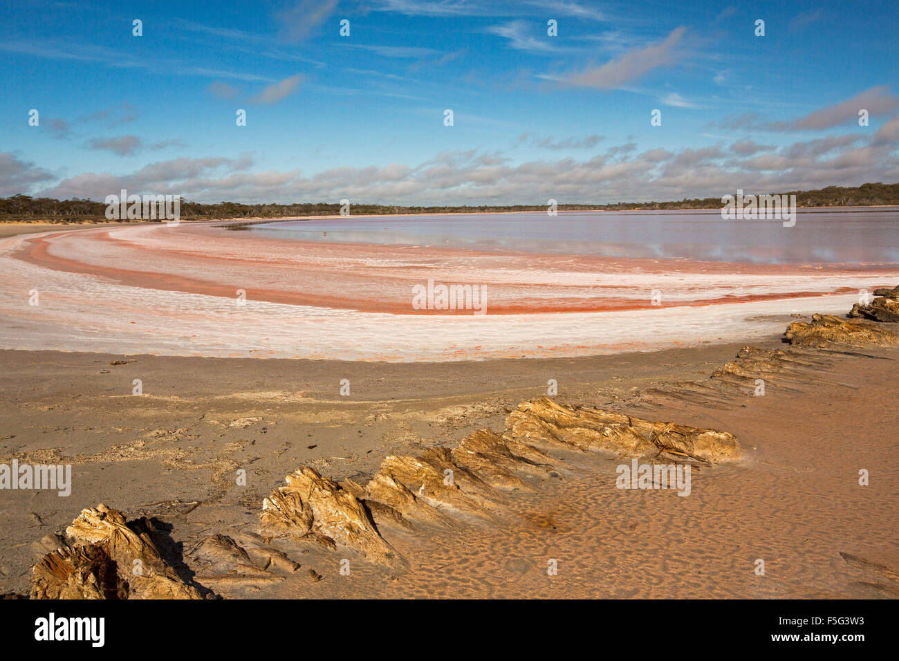 Riesige Outback-Landschaft mit ungewöhnlich lebhaft rosa Schichten von Salz neben ruhigen blau und rosa Gewässer des Sees im Murray-Sunset National Park Australien Stockfoto