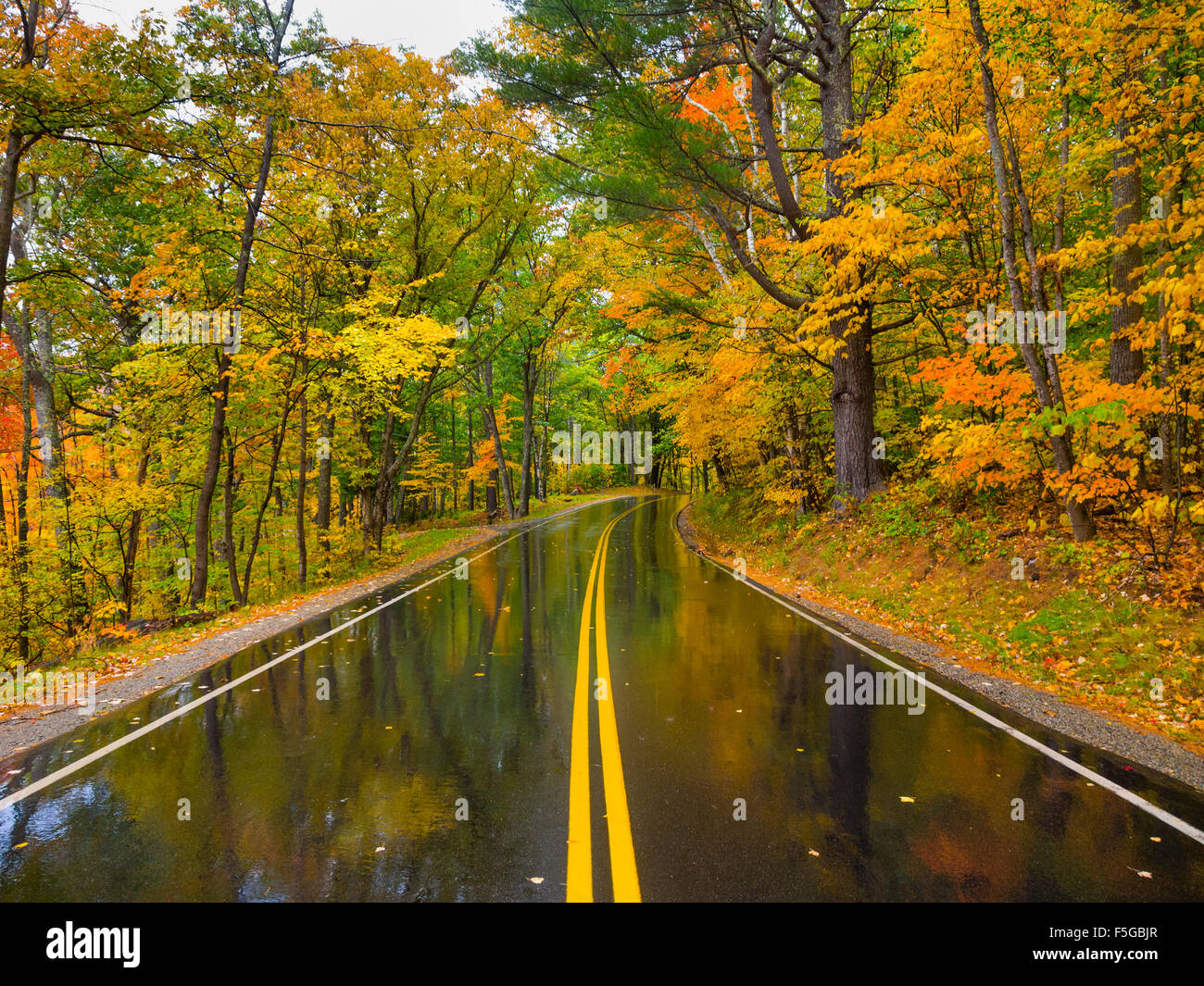 Nassen Landstraße während der Falljahreszeit Laub Stockfoto