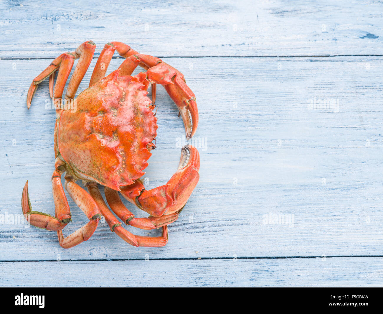 Rote Und Blaue Krabbe Stockfotos Und Bilder Kaufen Alamy