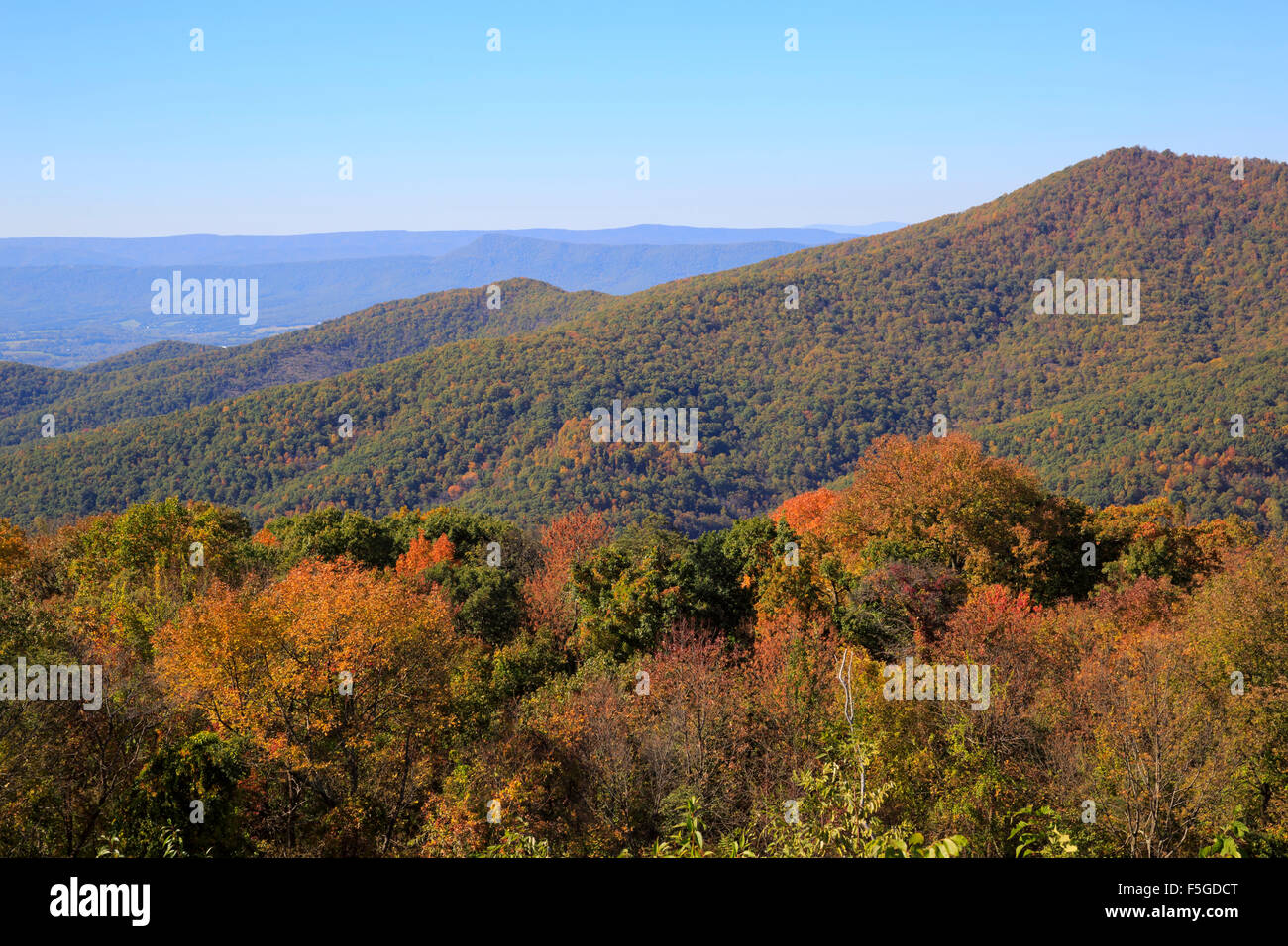 Mountain Pass Overlook, Skyline Drive, Shenandoah-Nationalpark, Virginia Stockfoto