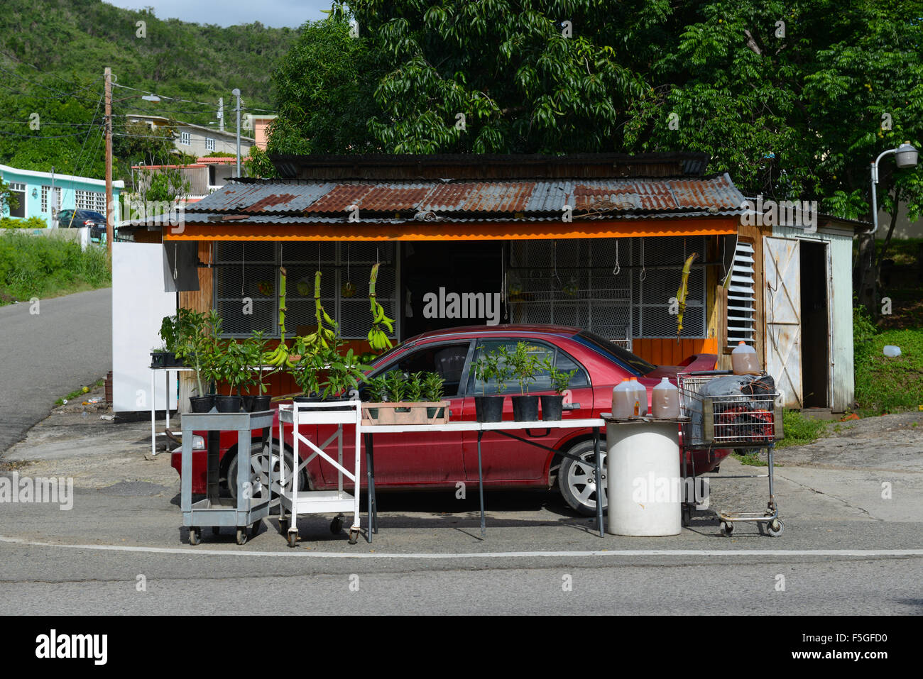 Auto bei einem Obsthändler in Coamo, Puerto Rico. Territorium der USA. Stockfoto