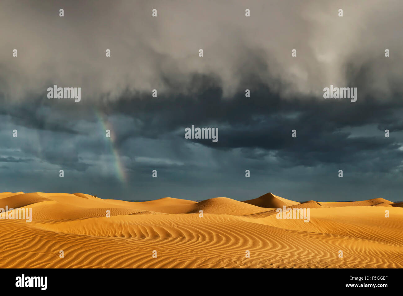 Sahara-Sand-Dünen mit stürmischen, bewölktem Himmel und Regenbogen. Stockfoto