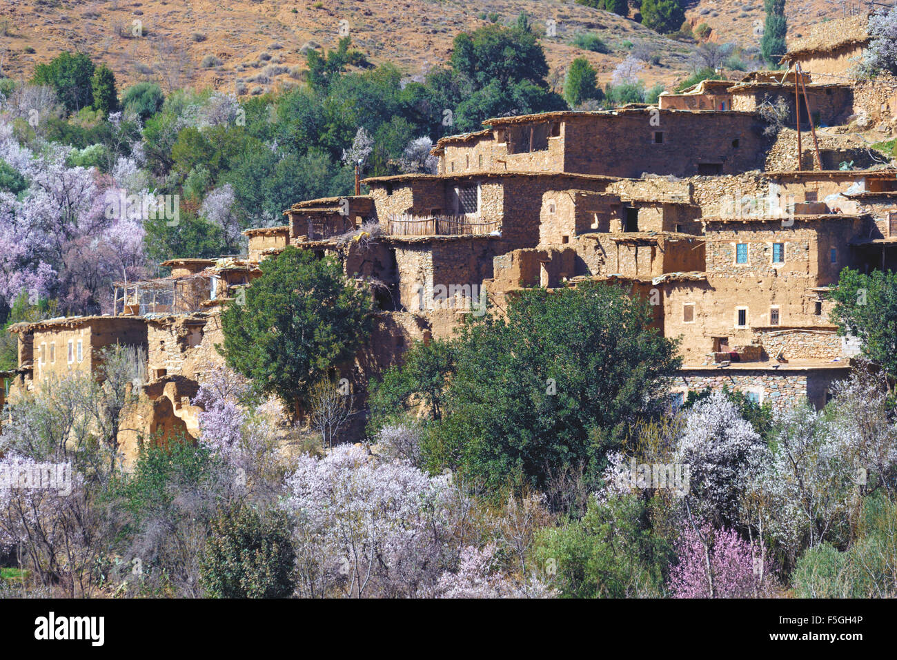 Dorf im hohen Atlasgebirge, Marokko. Stockfoto