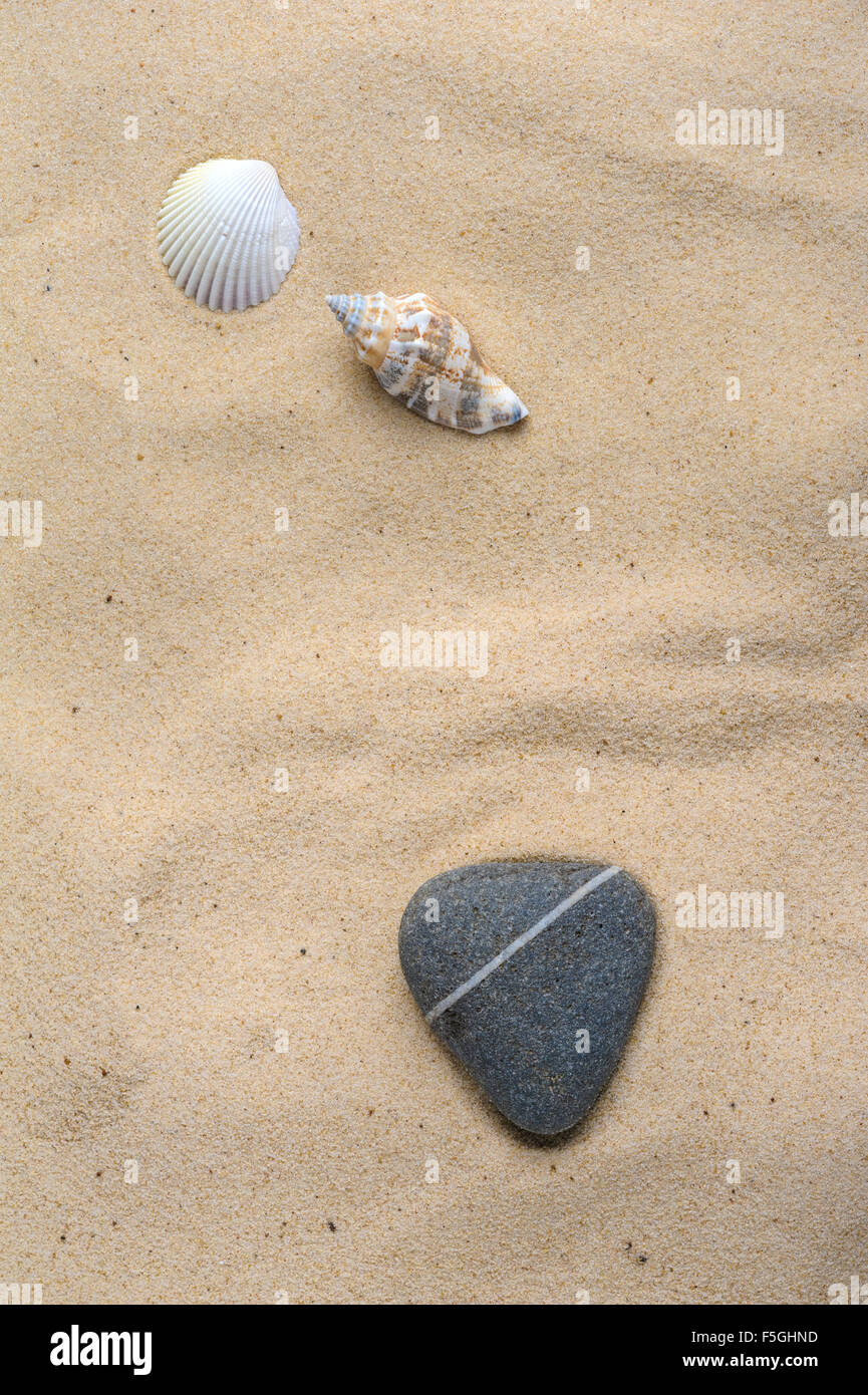 Romantisches Konzept eines Herzens geformten Stein und einige Muscheln auf einem sandigen Ufer. Stockfoto
