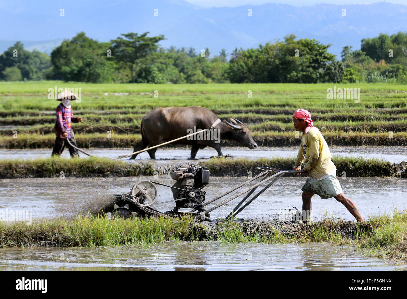 Männer mit motor Pflug und Wasserbüffel Pflügen und bereitet einen nassen Reisfeld für Pflanzen Reis auf der Insel Mindanao, Philippinen Stockfoto
