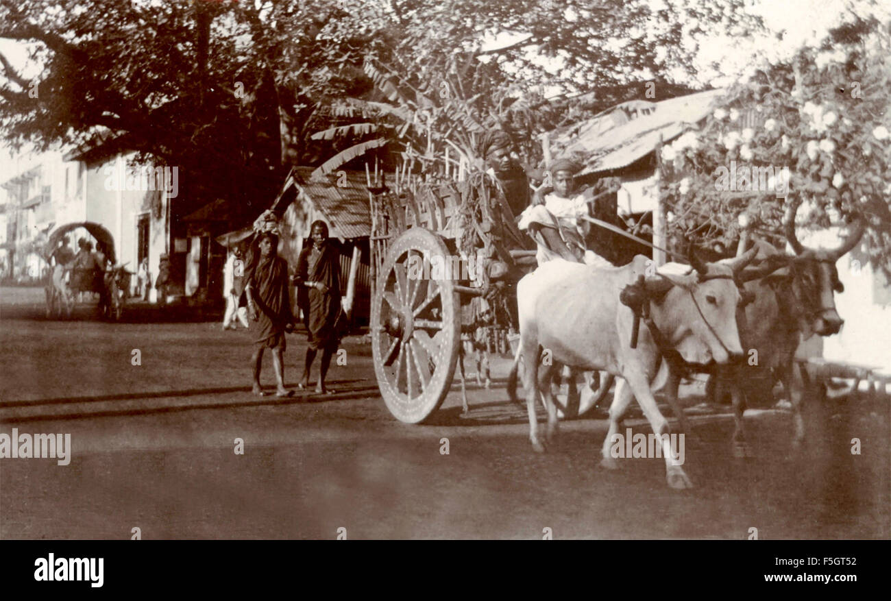 Männer in einem Wagen, gezogen von Vieh, Indien Stockfoto