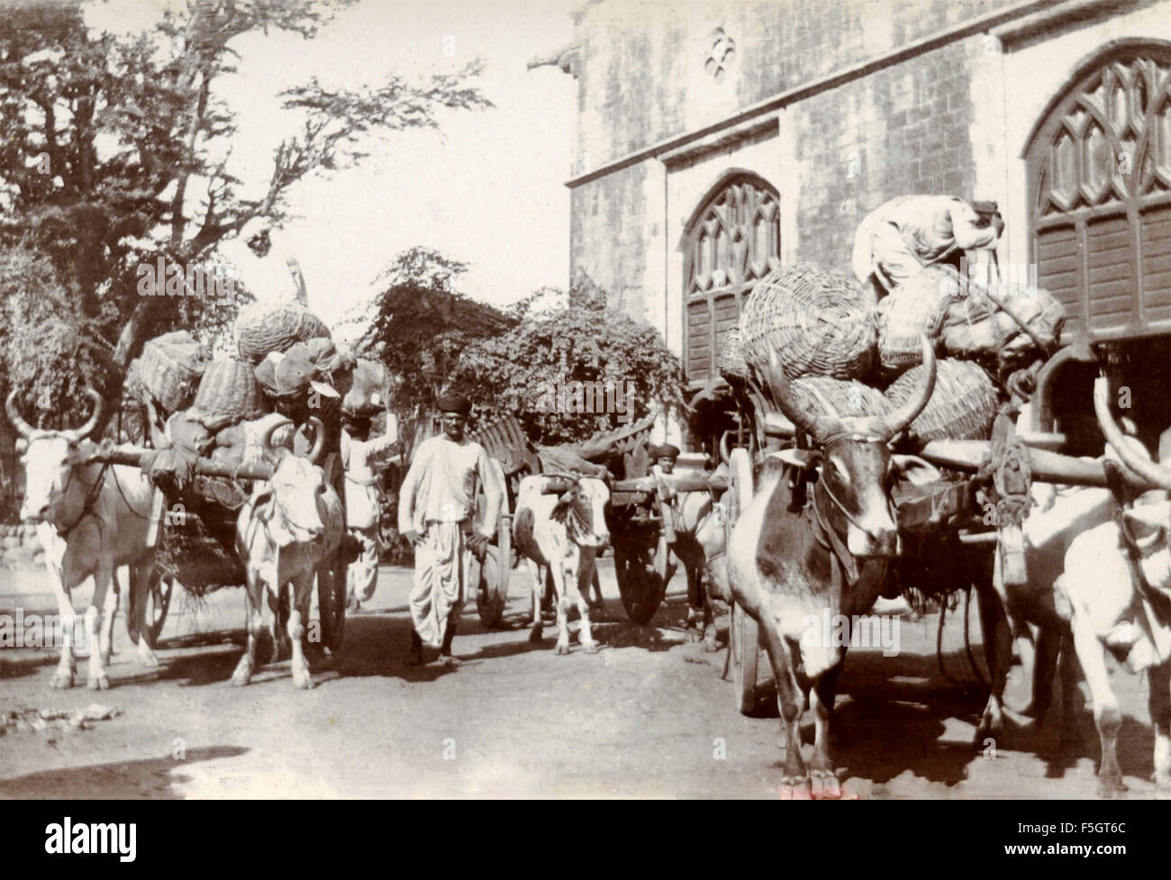 Wagen, gezogen von Vieh, Indien Stockfoto