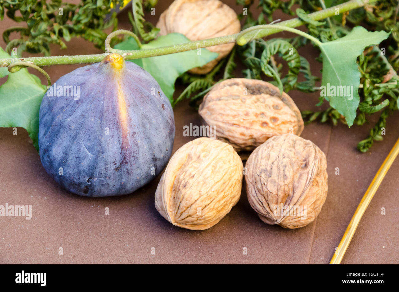 Fallen Früchte: Feigen und Nüssen auf einen natürlichen Hintergrund Stockfoto