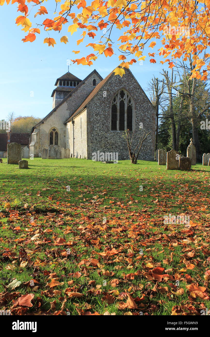 Herbstlaub auf dem Kirchhof von St. Andrews Church, Meonstoke, Hampshire, England, UK Stockfoto