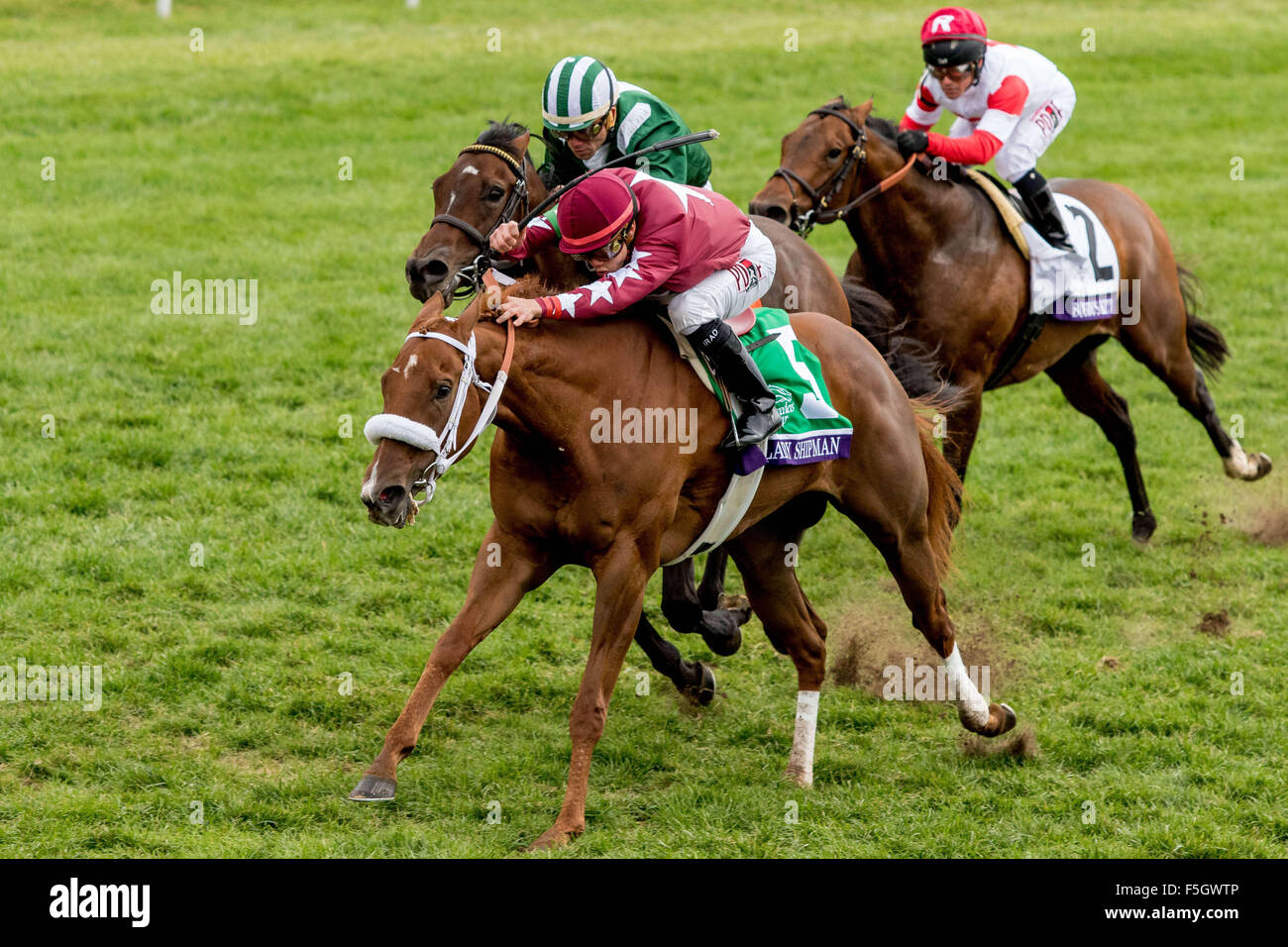 31. Oktober 2015 - Lexington, Kentucky, USA - 31. Oktober 2015: Lady Shipman, geritten von Irad Ortiz Jr., in der Zielgeraden während der TwinSpires Breeders' Cup Turf Sprint (Grad I) in Lexington, Kentucky am 31. Oktober 2015. Candice Chavez/ESW/CSM Stockfoto