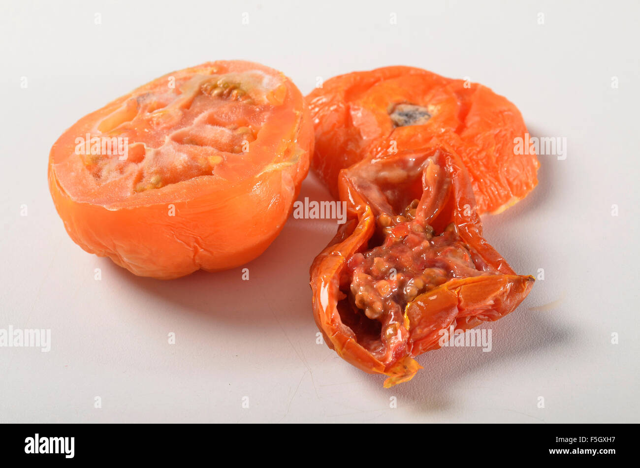 morsch, alten verfallenden Tomate Stockfoto