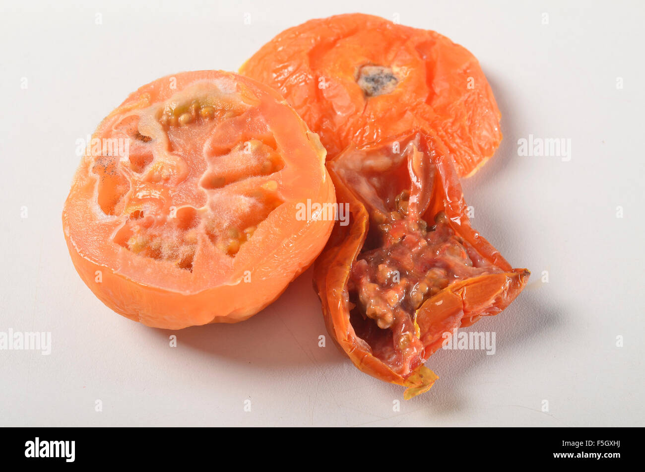 morsch, alten verfallenden Tomate Stockfoto