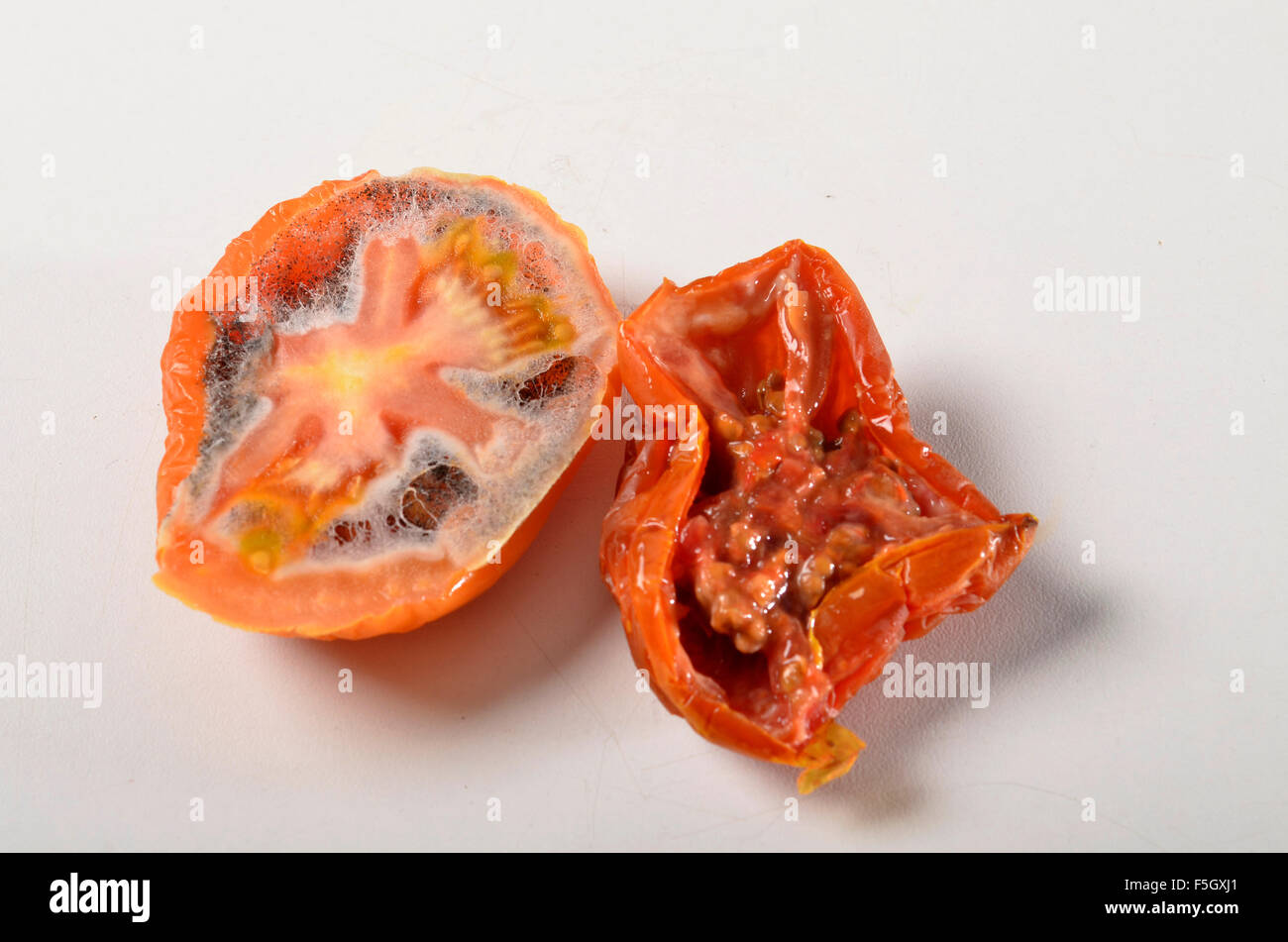 morsch, alten verfallenden Tomate Stockfoto