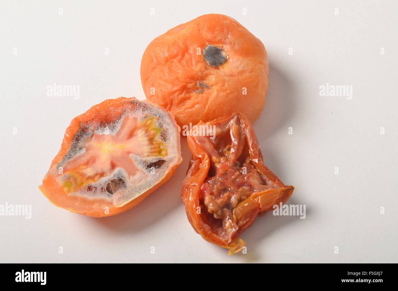 morsch, alten verfallenden Tomate Stockfoto