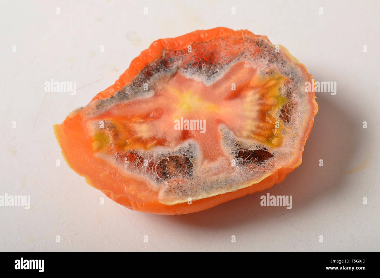 morsch, alten verfallenden Tomate Stockfoto