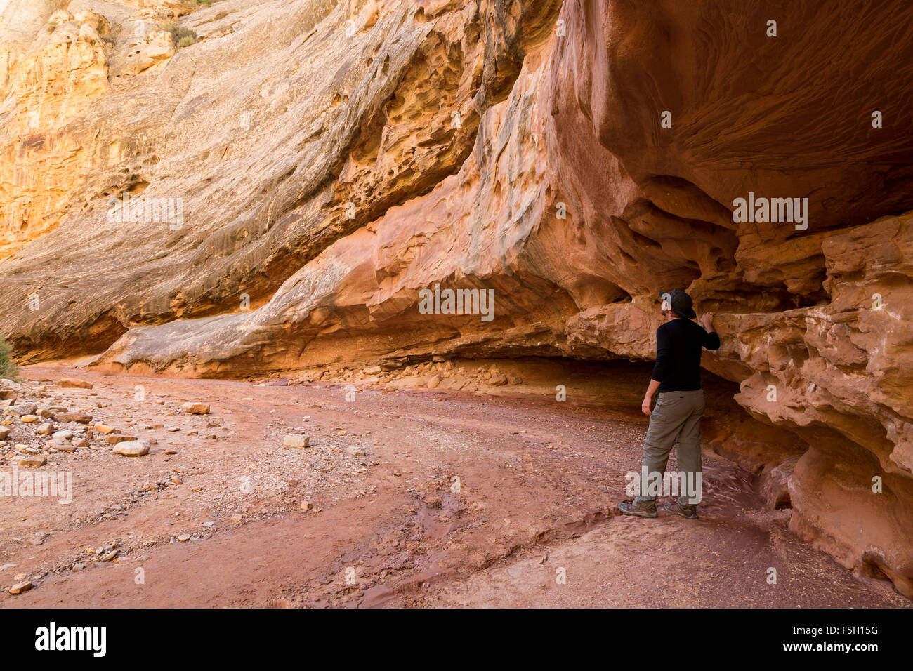 Ein Wanderer steht unter Navajo Canyon Sandsteinwände in Grand Wash, Capitol Reef National Park, Utah Stockfoto