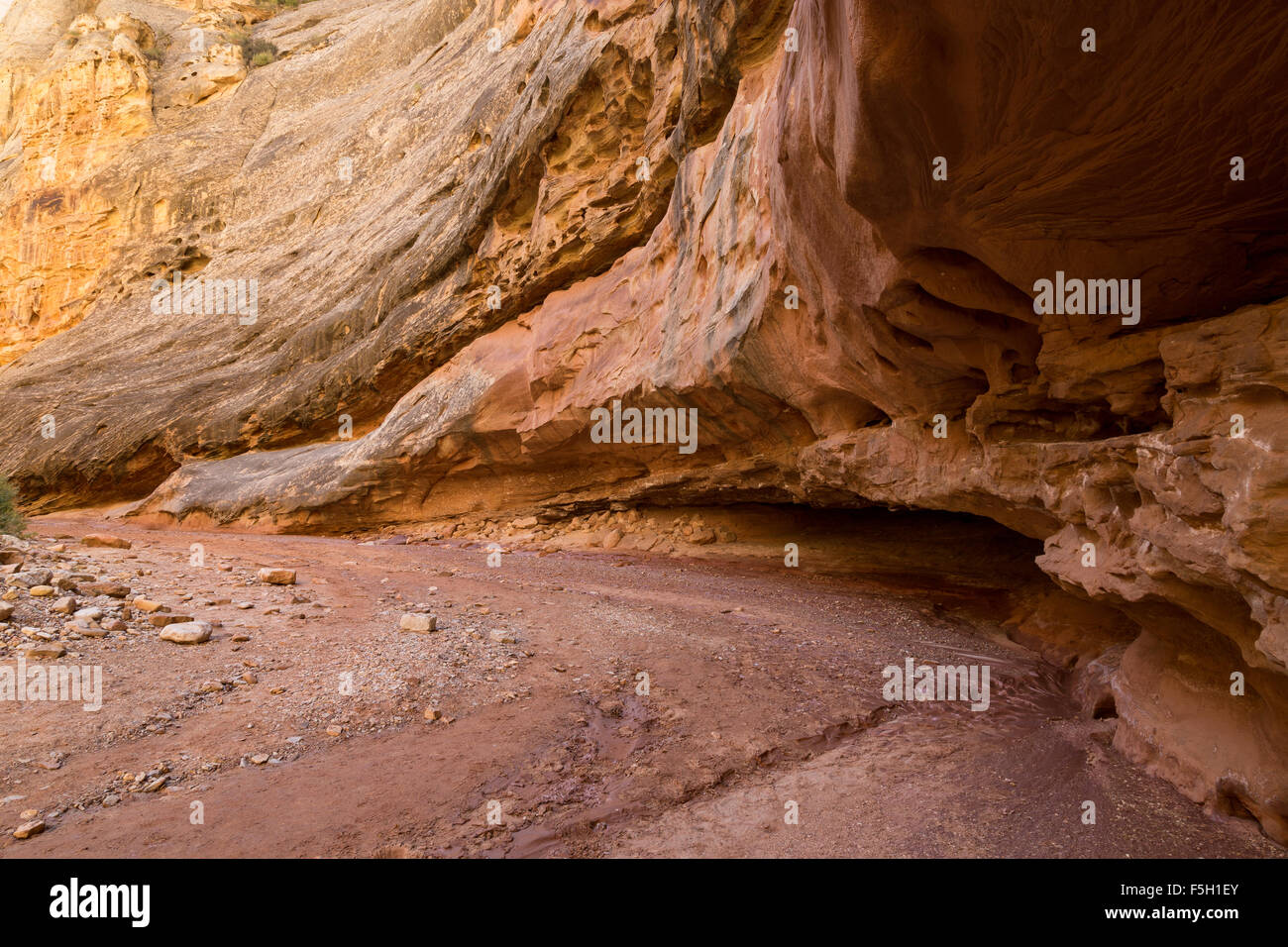 Eine Biegung in Grand Wash, Capitol Reef National Park, Utah Stockfoto