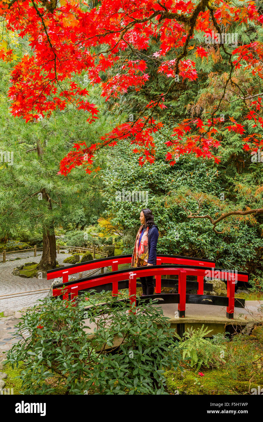 Herbst Farben, japanischer Garten, Butchart Gardens, Brentwood Bay, Vancouver Island, British Columbia, Kanada Stockfoto