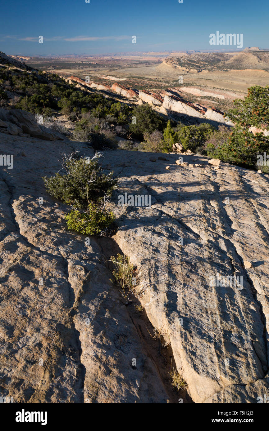 Rim Trail entlang des oberen Randes der Waterpocket Fold von der oberen Alternativsäge Twist Canyon-Wanderung, Capitol Reef National Park, Utah Stockfoto