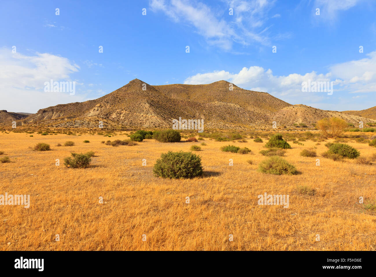 Tabernas-Wüste (in Spanisch Desierto de Tabernas) ist Europas einzige Wüste. Es befindet sich in der Nähe von Almeria, Andalusien, Spanien Stockfoto