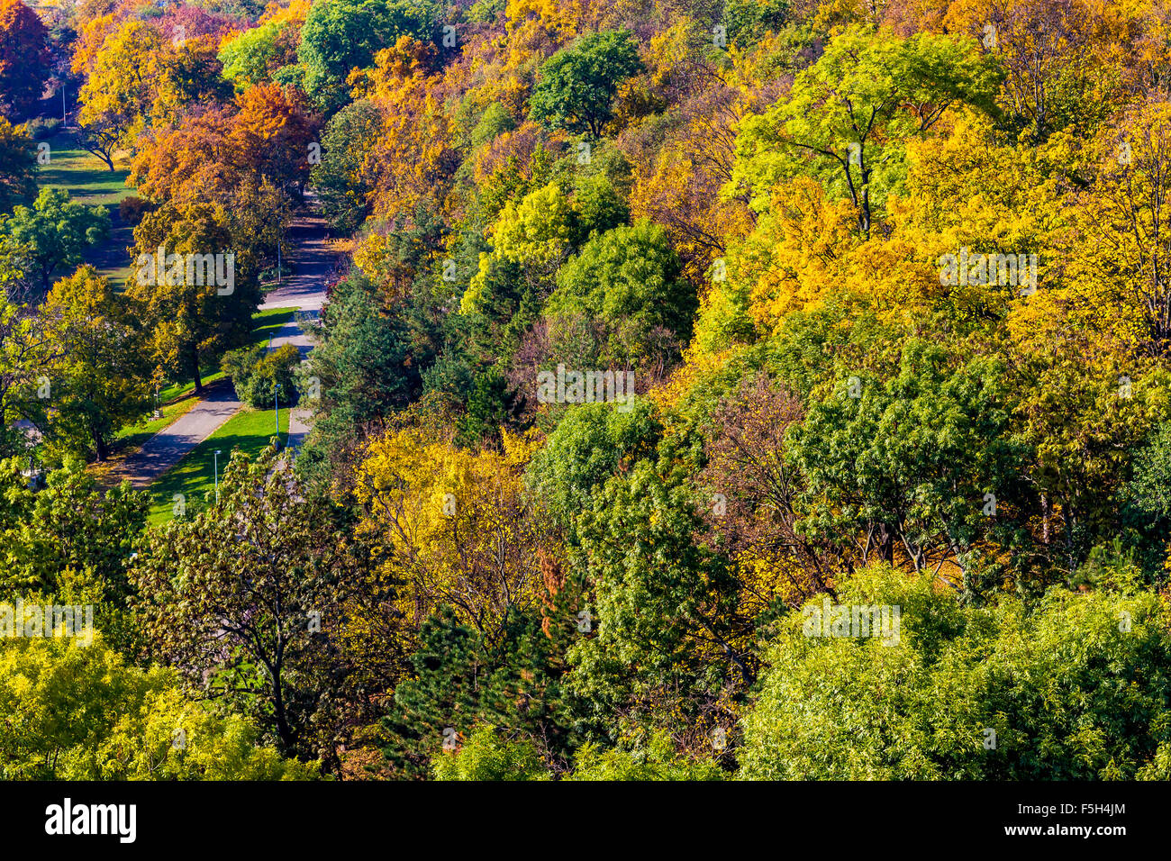 Herbstliche Aussicht vom Nuselsky Brücke, Prag, Tschechische Republik Stockfoto