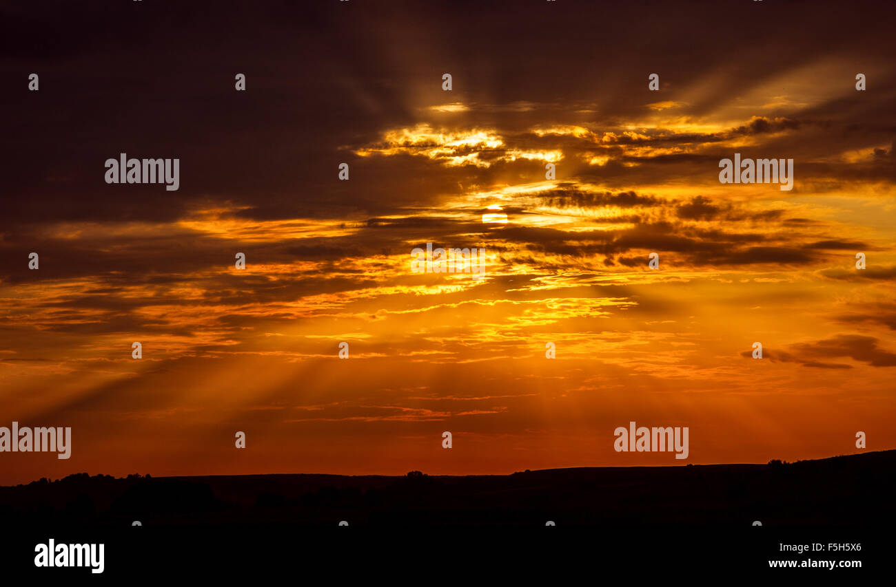 Große Sonne. Natur-Komposition. Stockfoto