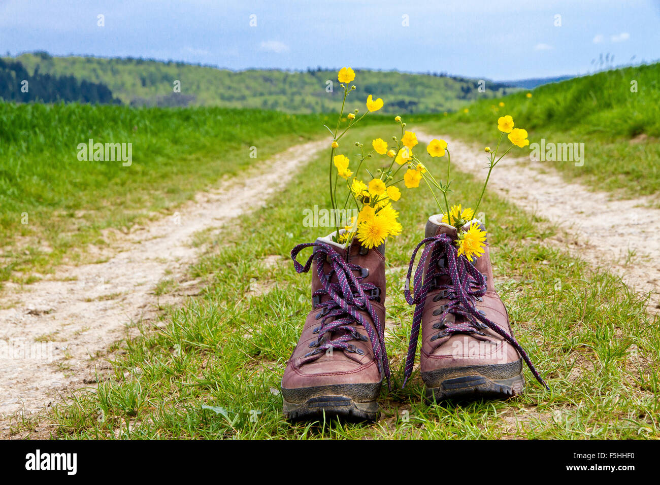 Wandern in der Natur Stockfoto