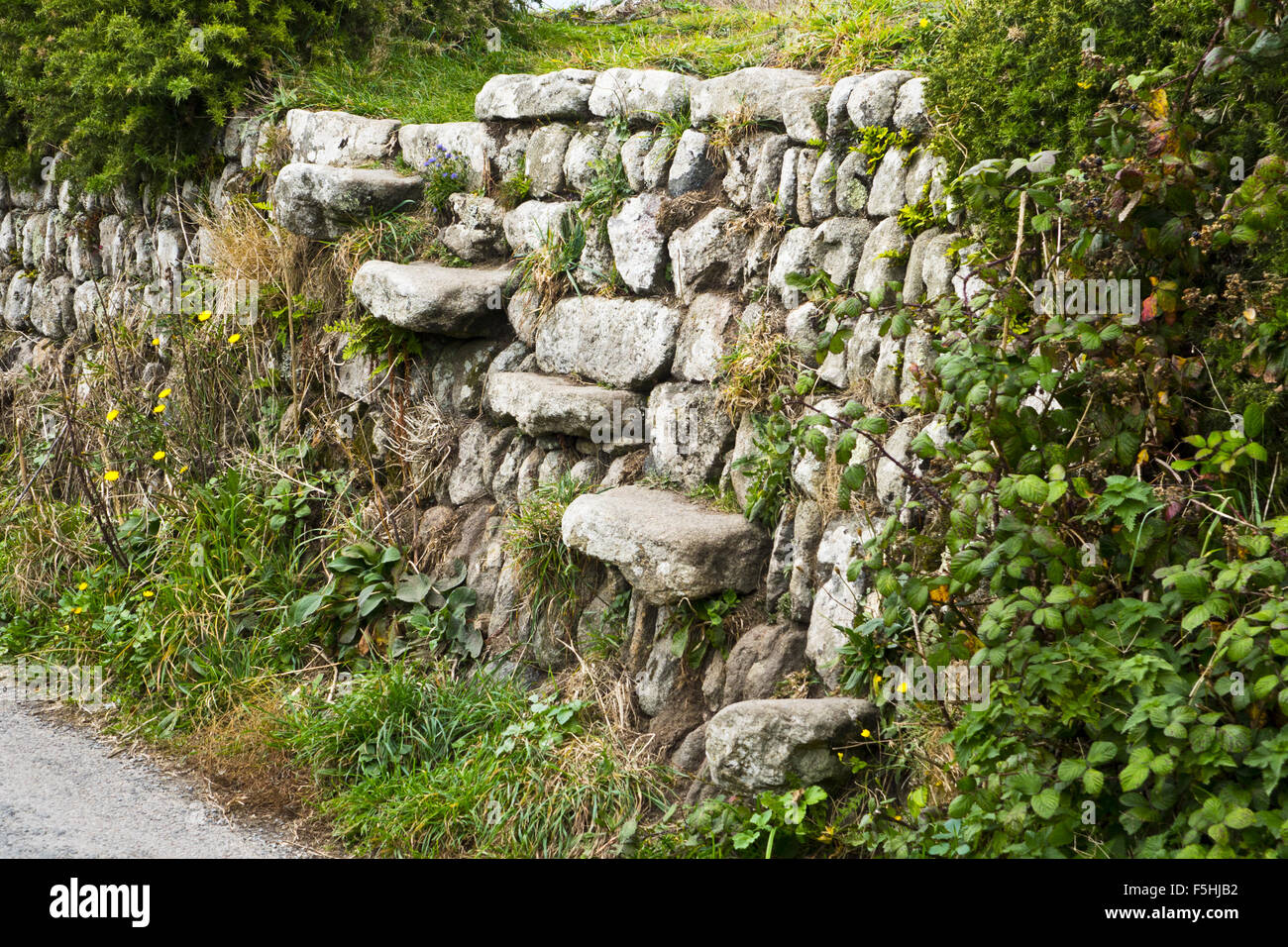 Steinmauer Stil Schritte Cornish Stockfoto