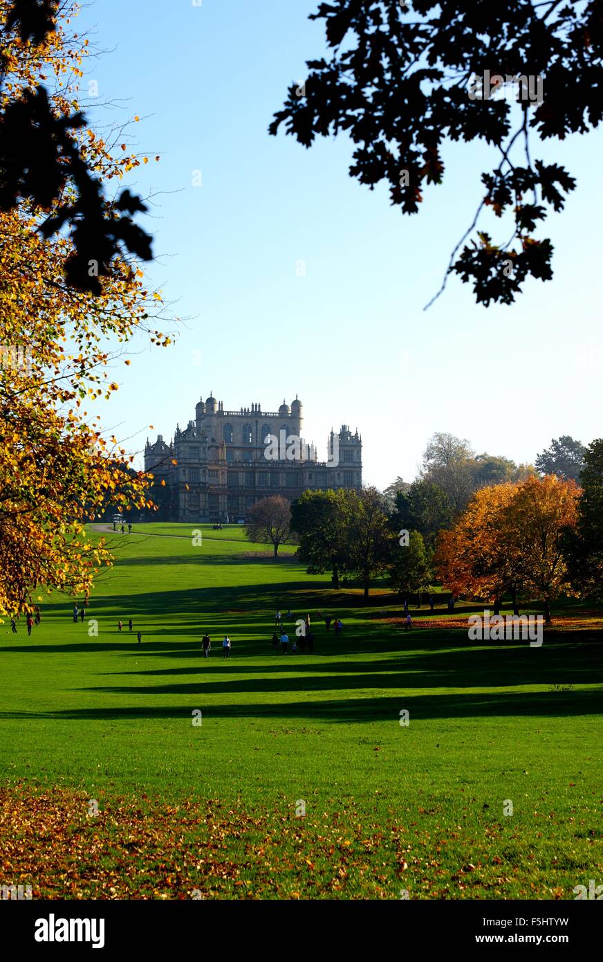 Eine Herbst-Szene im Wollaton Park Nottingham England UK Stockfoto