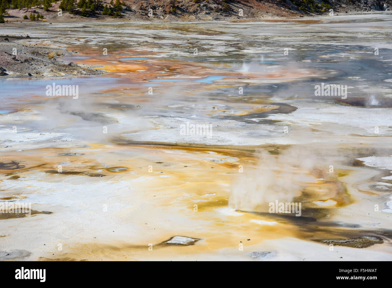 Porzellan-Federn, Norris Geyser Basin, Yellowstone-Nationalpark, Wyoming, USA Stockfoto