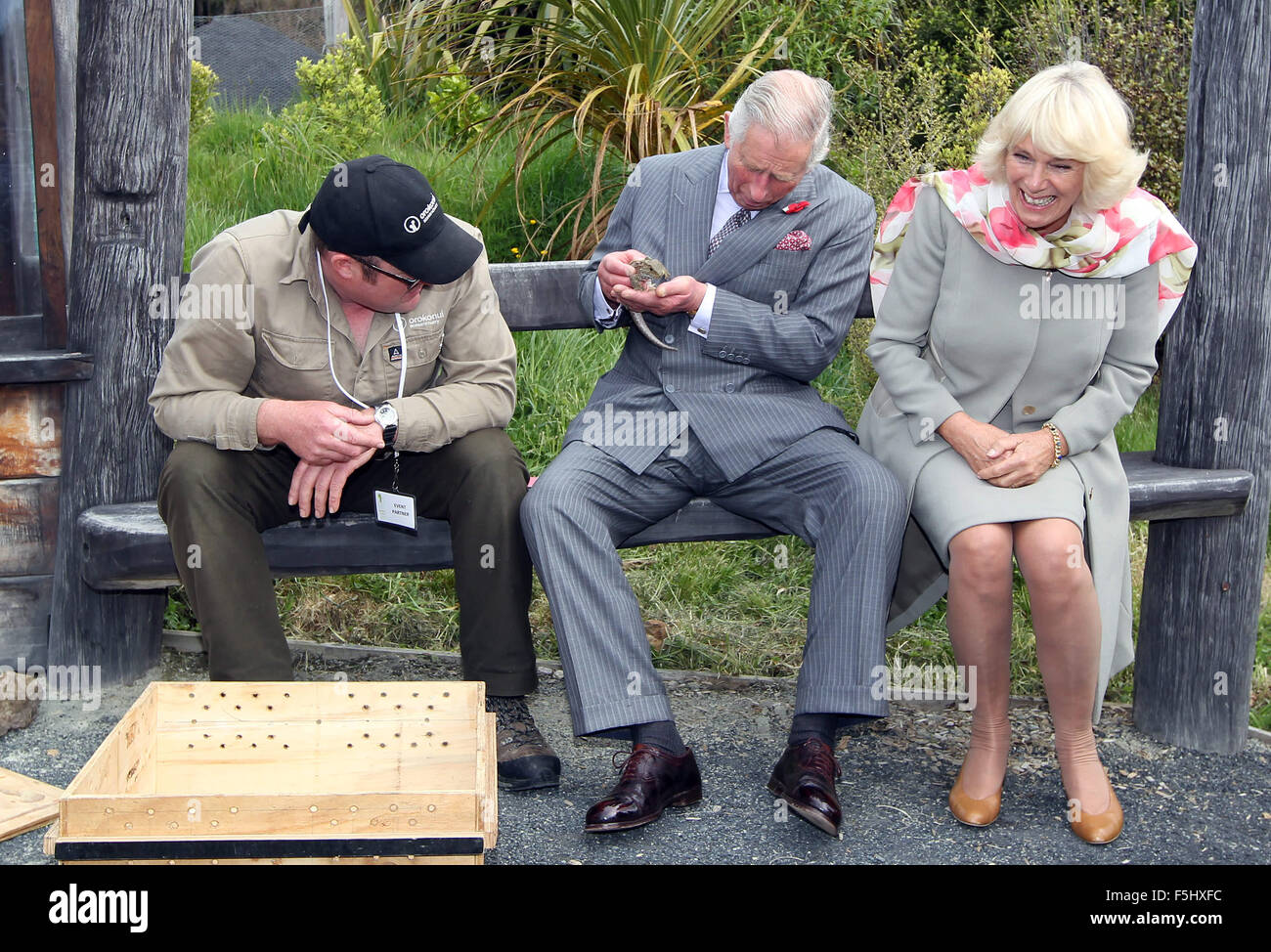 Dunedin, New Zealand - 5. November 2015 - Prinz Charles, Prince Of Wales und Camilla, Herzogin von Cornwall, suchen nach einem Tuatara bei ihrem Besuch in der Orokonui Ecosanctuary am 5. November 2015 in Dunedin, Neuseeland. Charles und Camilla besuchen Neuseeland vom 4. November bis November 10, Teilnahme an Veranstaltungen in Wellington, Dunedin, Nelson, Westport, Ngaruawahia, Auckland und New Plymouth. Bildnachweis: Dpa picture Alliance/Alamy Live News Stockfoto