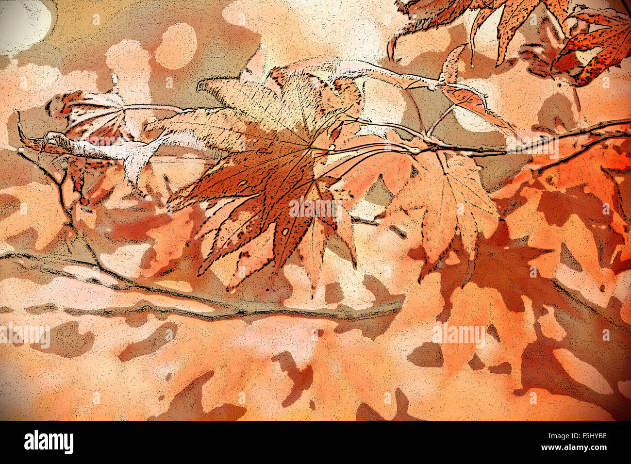 Ahorn Blätter im Herbst Farben. Digitale und grafische Gestaltung und Illustration. Stockfoto