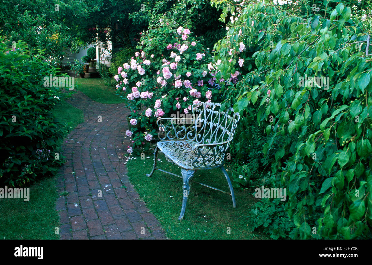 Alte schmiedeeiserne Bank und rosa Rosen neben Backstein gepflasterte Pfad im Bauerngarten Stockfoto