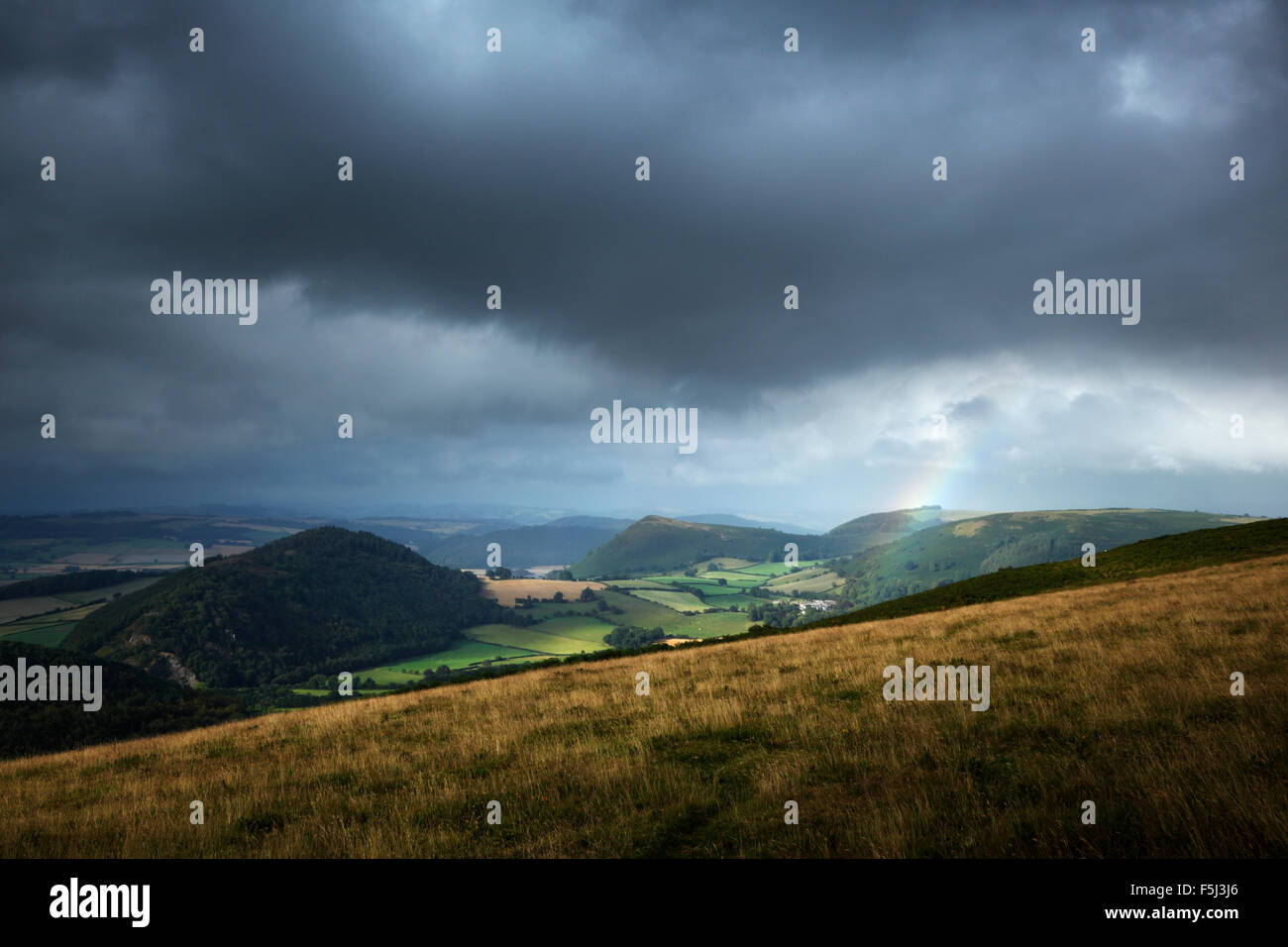 Blick vom Offa es Dyke Pfad auf Hergest Ridge. Herefordshire. VEREINIGTES KÖNIGREICH. Stockfoto