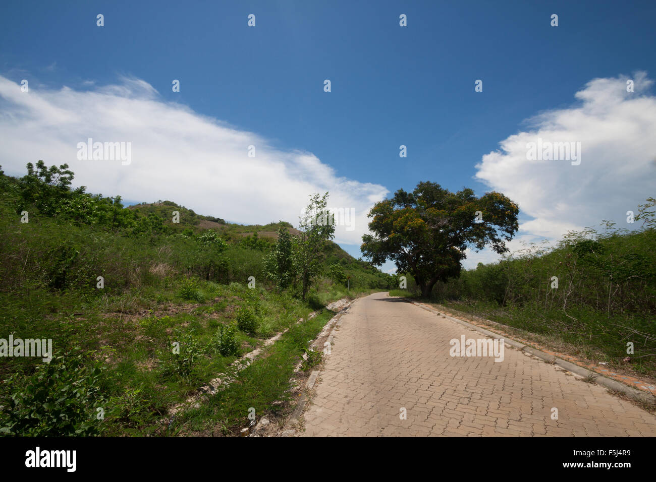 kleine Straße am schönen sonnigen Sommertag Stockfoto