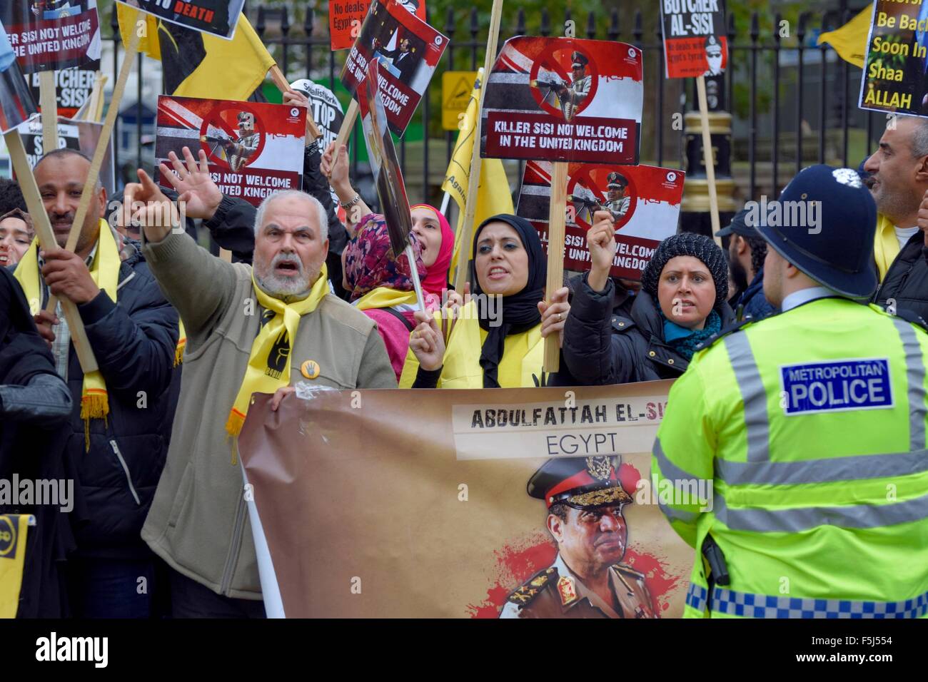 London, UK. 5. November 2015. Demonstranten für und gegen Präsident Sisi von Ägypten zu protestieren in Whitehall auf seine Ankunft in der Downing Street den Premierminister Kredit erfüllen: PjrNews/Alamy Live News Stockfoto