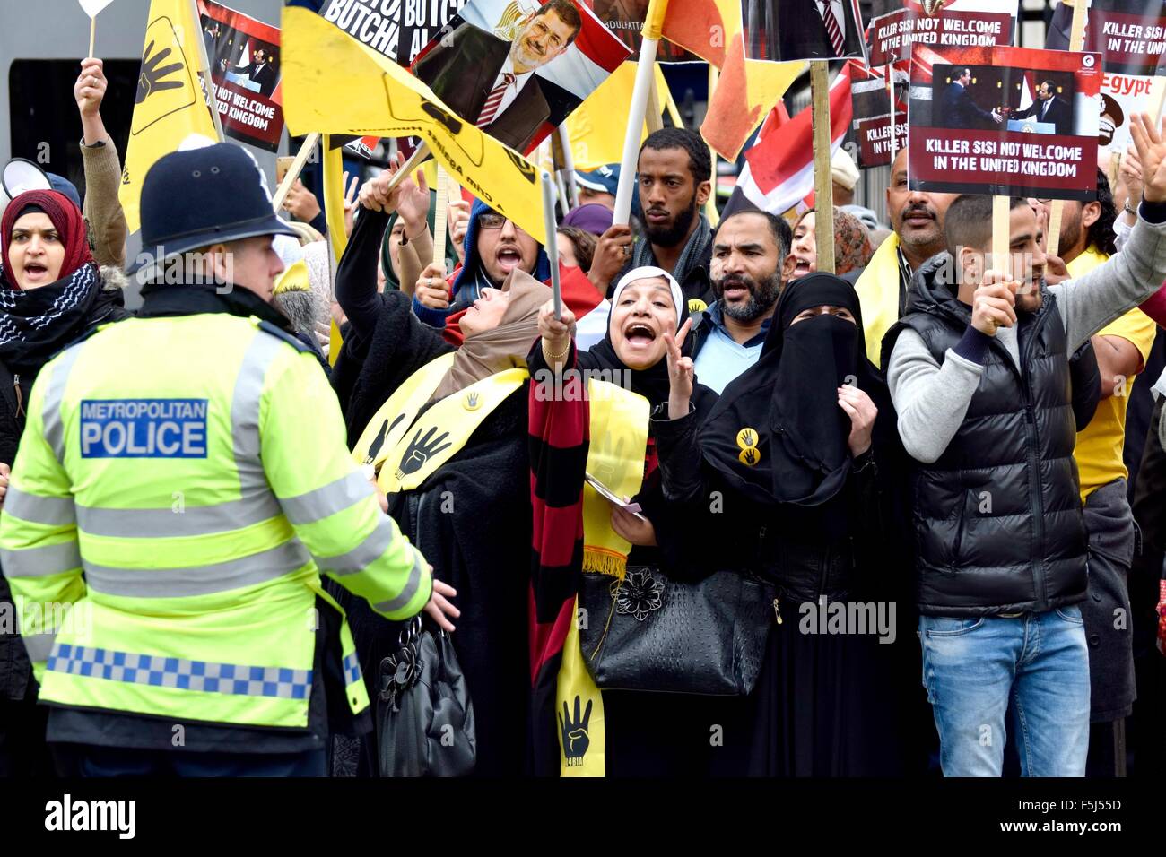 London, UK. 5. November 2015. Demonstranten für und gegen Präsident Sisi von Ägypten zu protestieren in Whitehall auf seine Ankunft in der Downing Street den Premierminister Kredit erfüllen: PjrNews/Alamy Live News Stockfoto