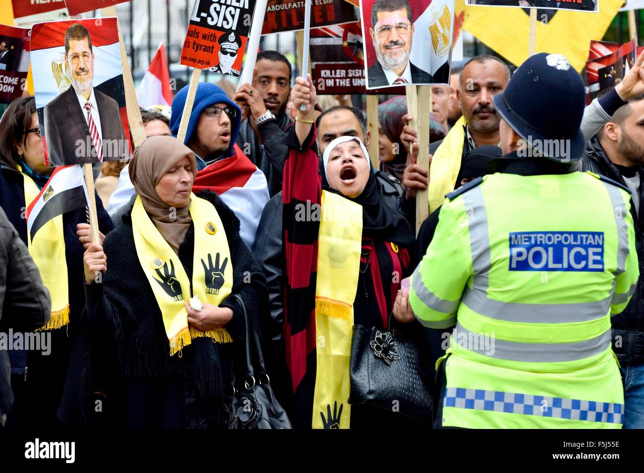 London, UK. 5. November 2015. Demonstranten für und gegen Präsident Sisi von Ägypten zu protestieren in Whitehall auf seine Ankunft in der Downing Street den Premierminister Kredit erfüllen: PjrNews/Alamy Live News Stockfoto