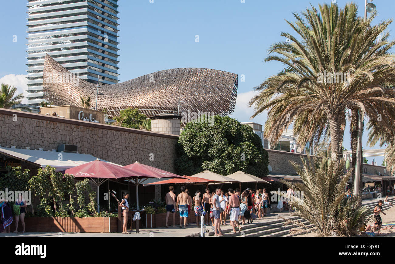 Fisch oder Peix, Gehrys Bronzeskulptur am Olympischen Hafen Zone. Sonne Badegäste am städtischen Strand von Barceloneta, Barcelona, Catalan, Spanien Stockfoto