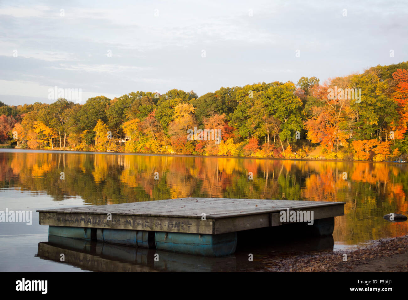 See, Bäume, Farben, Park, Wald, friedlich, Herbst, Herbst, außen, Ansicht, Baum, Träume Stockfoto