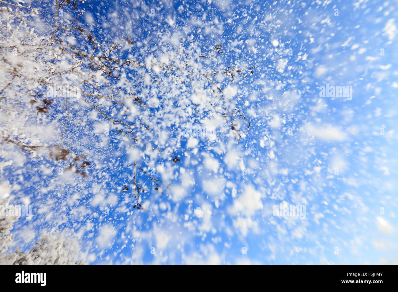 Schneefall Stockfoto