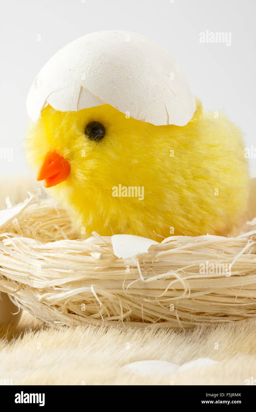 Spielzeug-Küken mit Eierschale im nest Stockfoto