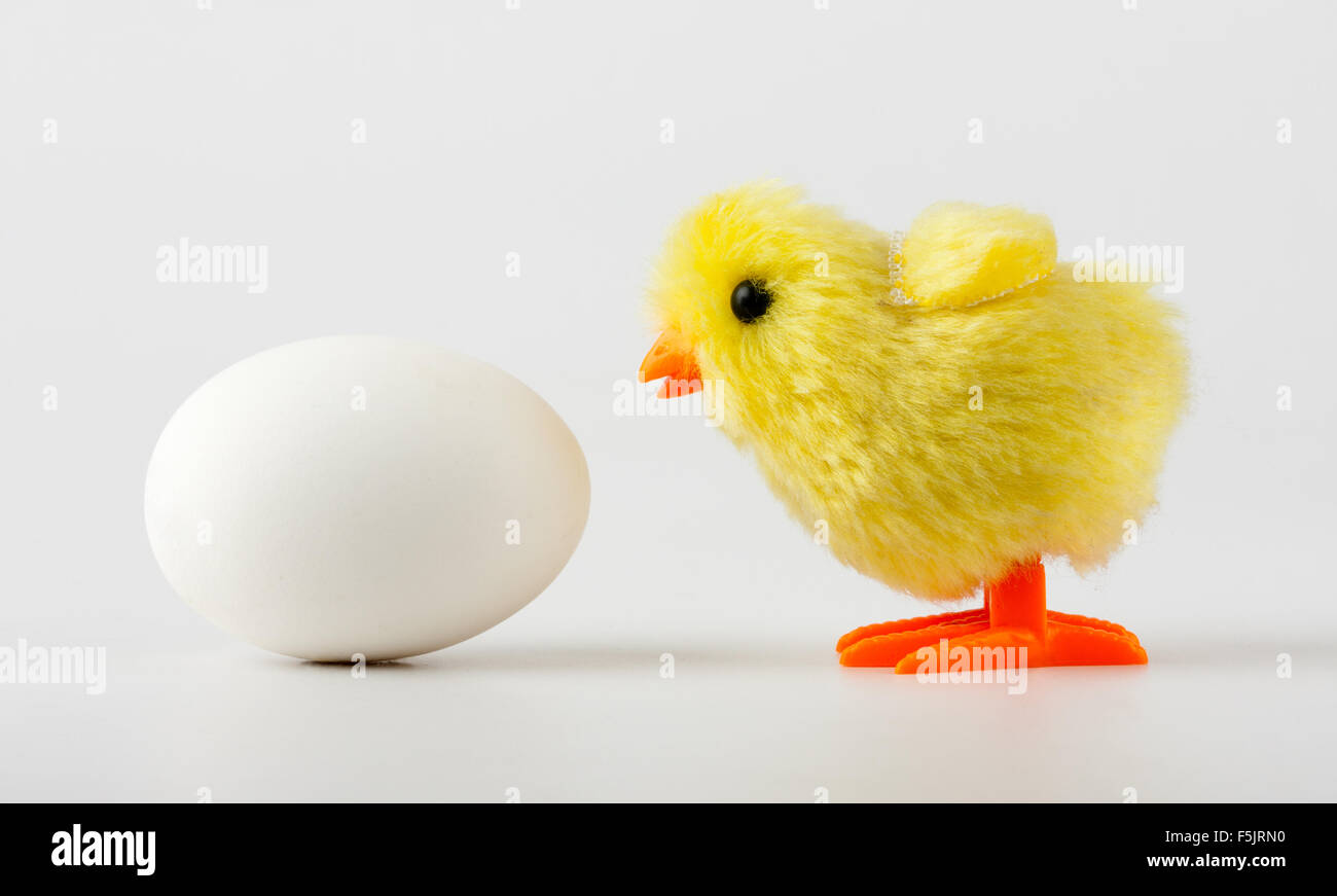 Neugeborenen Spielzeug Baby Huhn Ei zu betrachten Stockfoto